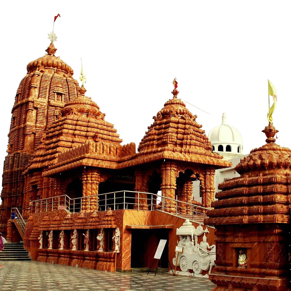 In our gardens plants for the shade garden